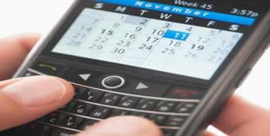 backberry